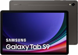 Samsung Sm-x716bzaexsa Galaxy Tab S9 11