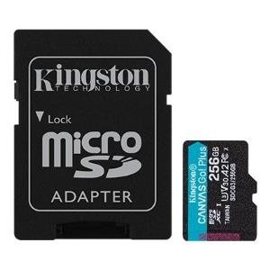 Kingston Sdcg3/256gb 256gb Msdxc Canvas Go Plus 170r