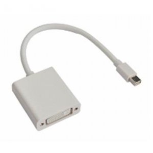 Astrotek Mini Displayport Dp To Dvi Cable 20Cm - 20 Pins Male To 24+5 Pins Female Nickle Rohs (AT
