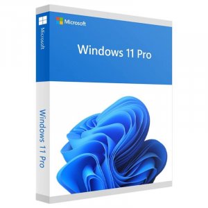 Microsoft Windows 11 Professional 64-Bit USB Drive - Retail Box