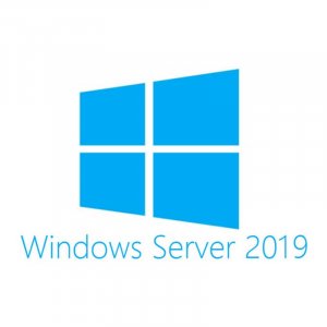 Microsoft Windows Server 2019 Standard 64-Bit ENG 1PK DSP OEI DVD 16-Core - OEM P73-07788