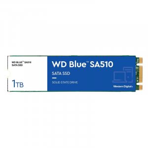 WD Blue SA510 1TB M.2 SATA SSD WDS100T3B0B