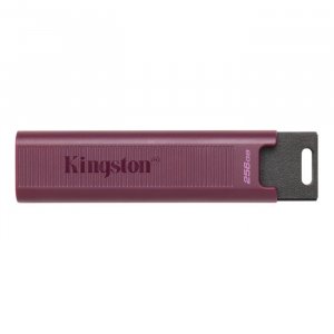 Kingston Dtmaxa/256gb 256gb Usb 3.2 Datatraveler Max Type-a Ge