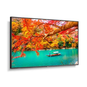 Nec Ma551 49" Wide Color Gamut 4k Uhd Professional Display/ 3840x2160 / 500 Cd/m2