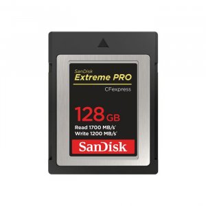 Sandisk Sdcfe-128g-gn4nn Sdcfexpress 128gb Extreme Pro