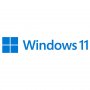 Microsoft Windows 11 Pro 64-bit OEM DVD FQC-10528