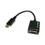 Cable Adapter Display Port Male to VGA Female 15cm Passive S054B