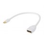 Mini Cabac Display Port (m ) To Display Port (f) Cable - 15cm (ls)