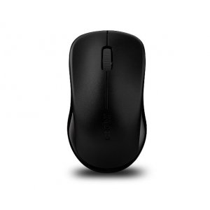 Rapoo 1620 2.4G Wireless Entry Level Mouse - Black