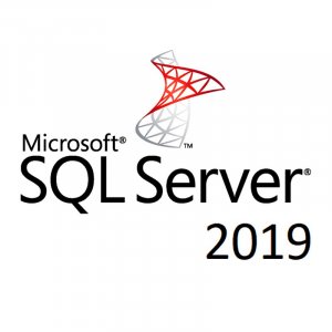 Microsoft SQL Server 2019 CAL - 1 Device Licence 359-06865