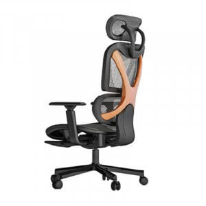 Brateck SpineX Ergonomic Office Chair