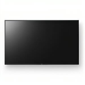 Sony Bravia Ez20l 65" Professional Display 4k (3840 X 2160), 16/7, 350-cd/m2 Brightness, Hdr10, Motionflow Xr, Android Tv