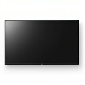 Sony Bravia EZ20L Series 65